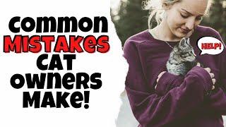 Common Mistakes Cat Owners Make and How to Prevent Them