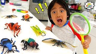 Ryans Bug Catching Pretend Play and Learn Insect Facts for kids