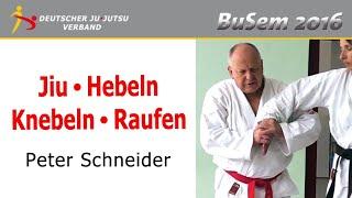 Jiu-Jitsu  Hebeln-Knebeln-Raufen  Peter Schneider