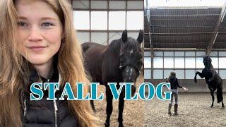 Stall VLOG  Grwm Bodenarbeit