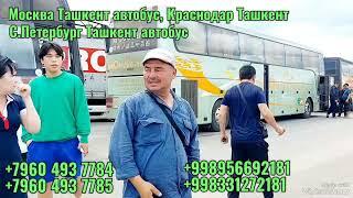 Moskva Tashkent avtobus  Москва-Ташкент автобус 2024