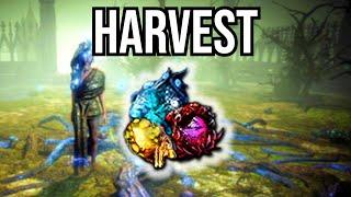 How to Farm Harvest with Wandering Path  ZERO INVESTMENT