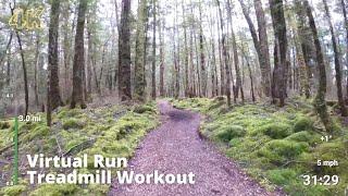 Virtual Run  Virtual Running Videos Treadmill Workout Scenery  Kepler Track Forest 1 Hour