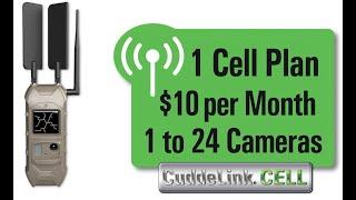 CuddeLink Cell Overview