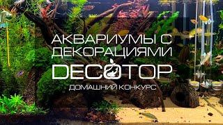 Домашний конкурс аквариумов с использованием декораций DECOTOP