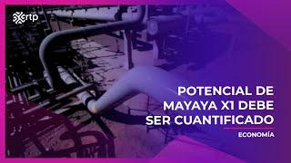 Potencial de Mayaya X1 debe ser cuantificado