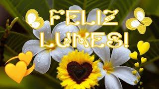 FELIZ LUNES 