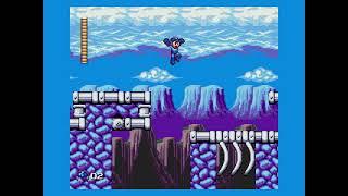 Mega Man The Sequel Wars Demo - Skull Man EX Stage & Boss Fight