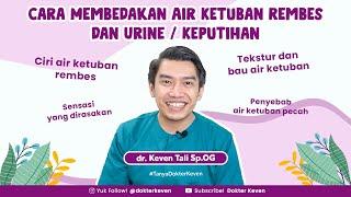 Cara Membedakan Air Ketuban Rembes dan Keputihan atau Air Pipis  #TanyaDokterKeven