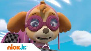 Paw Patrol - La Squadra dei Cuccioli  I cuccioli salvano un luna park  Nick Jr.