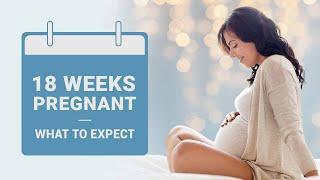 18 Weeks Pregnant - Symptoms Baby Size Dos & Donts