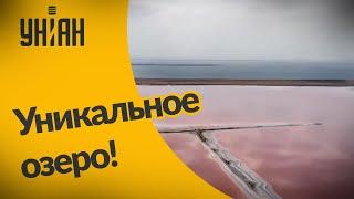 Невероятные места Украины уникальное розовое озеро с целебными свойствами на Херсонщине