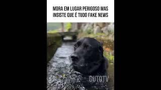 Mora em lugar perigoso mas não assume  #memes #animaisdublados #humor #funnymemes