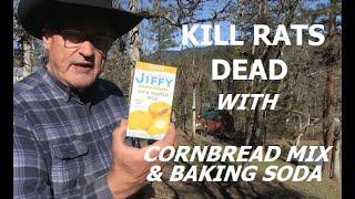 KILL RATS DEAD WITH CORNBREAD MIX & BAKING SODA