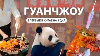 ПЕРВЫЙ РАЗ В КИТАЕ  ГУАНЧЖОУ ЗА 3 ДНЯ панды сафари ужасная еда и красивые храмы GUANGZHOU 2024