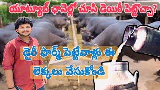 Dairy Farm in Hyderabad Telugu - How to Start a Dairy Farming?  #telugu #farming  @mmpetsworld