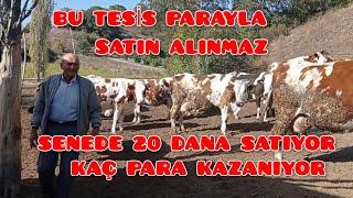 İLKOKULDA OKURKEN  KARAR VERDİ. BÜYÜKBAŞ HAYVAN ÇİFTLİĞİ KURDU. GÖRDESMANİSA #keşfet #insan #hayvan