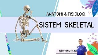 ANATOMI FISIOLOGI SISTEM SKELETAL TULANG