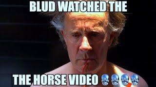 Dont watch the Horse Video