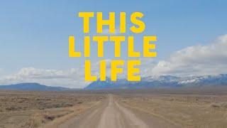 Tom Rosenthal - This Little Life Lyrics