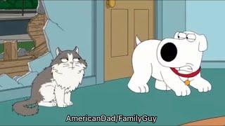 Family Guy - Brian Behaving Like a Dog