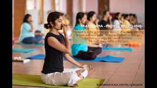 Pranayama - Proper Breathing  30 Mins