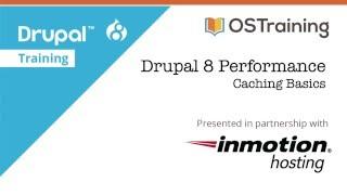 Drupal 8 Performance Lesson 2 Caching Basics