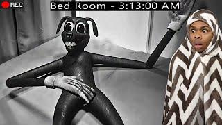 CARTOON DOG Was SPOTTED In My ROOM HELP