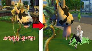 요루루Sims4  심이 소식물에게 잡아먹히다? 심즈4에 숨겨진 비밀 공원