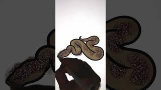 How To Draw Animals  Drawing and Coloring a Snake #art #drawing #howtodraw #animals