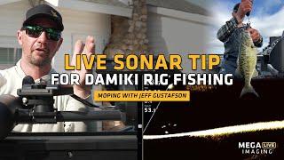 Live Sonar Tips for Damiki Rig Moping With Jeff Gustafson  Humminbird MEGA Live