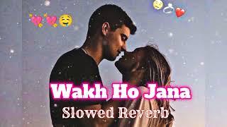 Wakh Ho Jana slowed+Reverb Gurnam Bhullar punjabi song lofi song