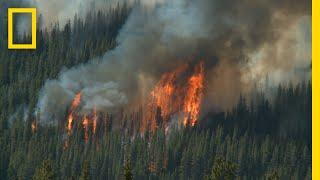 Wildfires 101  National Geographic