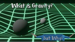 What is Gravity? The Illusion of Force by a Curved Dimension