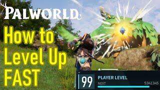 Palworld how to level up fast fast xp farm best way to level up