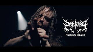 Organectomy - Tracheal Hanging OFFICIAL VIDEO