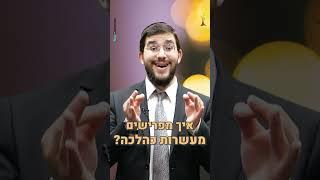 איך להפריש מעשרות כהלכה?  הרב נריה ברבי