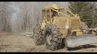 Logging for Habitat Improvement