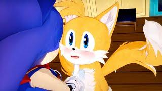 Tails&Sonic Discussing Favorite Chaos Emerald Colors ——Sontails Daily Life「10」