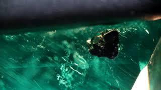 Emerald from Columbia with Pyrite Inclusion and Gota de Aceite Meriposa effects