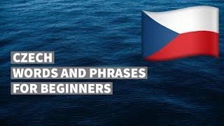 Czech words and phrases for absolute beginners. Learn the Czech language easily. 16 topics.