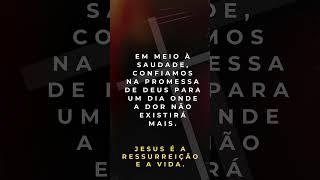 Consolo em Cristo para o Dia de Finados  Mensagens de Esperança e Paz. #consolo #fé #cristo #luto