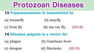 Parasitology MCQ Questions - Protozoan disease MCQ