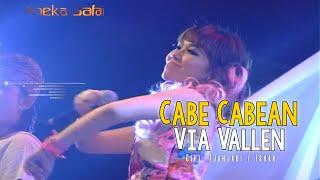 Via Vallen Hits Sebelum Terkenal - Cabe Cabean  Official Music Video ANEKA SAFARI 
