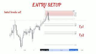 Initial and Dominant Brake Setup Entry