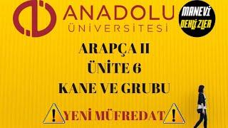 Aöf Arapça 2 Ünite 6 Kane Ve Gurubu  Yeni Müfredat 