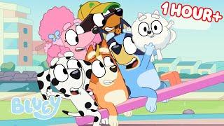 Bluey Seasons 1 and 2 FULL EPISODES  Baby Race Movies Ice Cream and more  Bluey