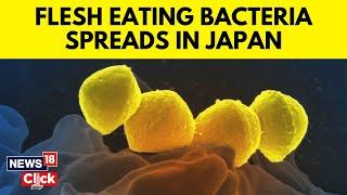 Japan News  Rare Bacteria That Can Kill In 48 Hours Is Spreading  Explained What Is STSS?  G18V