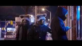 Judge Bitch - Trash Pandas Official Video