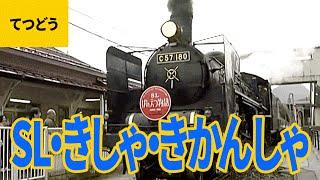 列車大集合（4）SL・汽車・機関車：C11形／SLニセコ号／C57形／C58形／SLやまぐち号